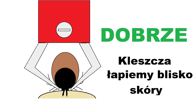 kleszczrysDOBRZE