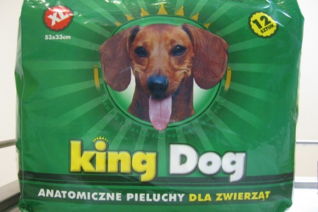 king-dog