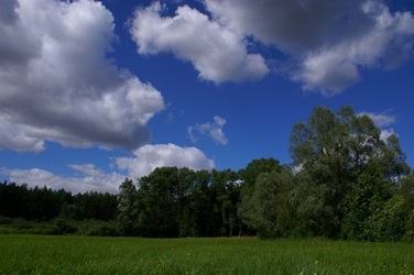 Gorący dzień